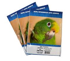 Papel Fotográfico Adesivo 115g A4 Masterprint 20 Fls Glossy - Imagem 3